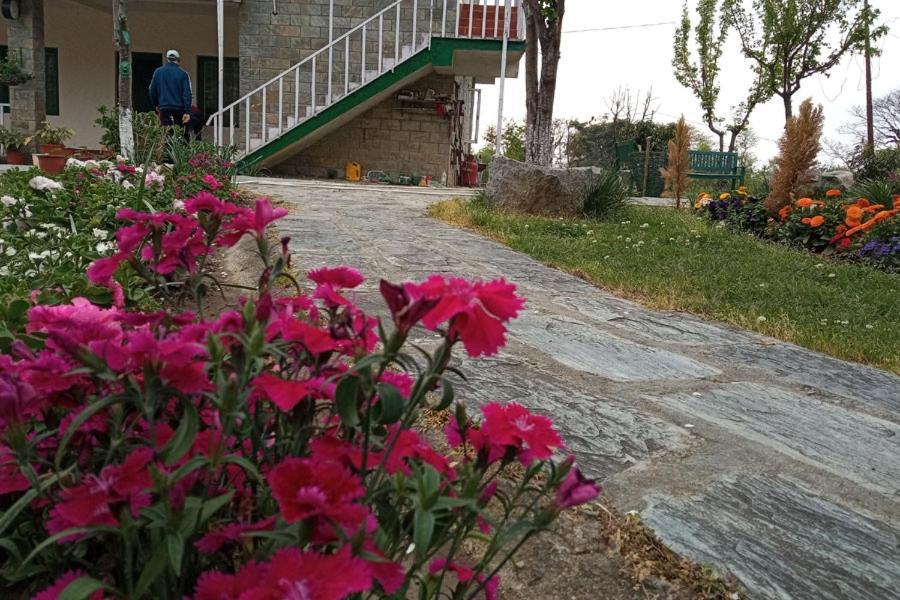Nagri Resort Палампур Екстер'єр фото
