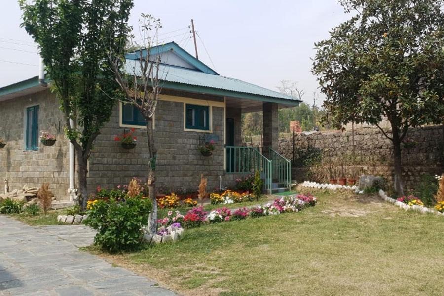 Nagri Resort Палампур Екстер'єр фото